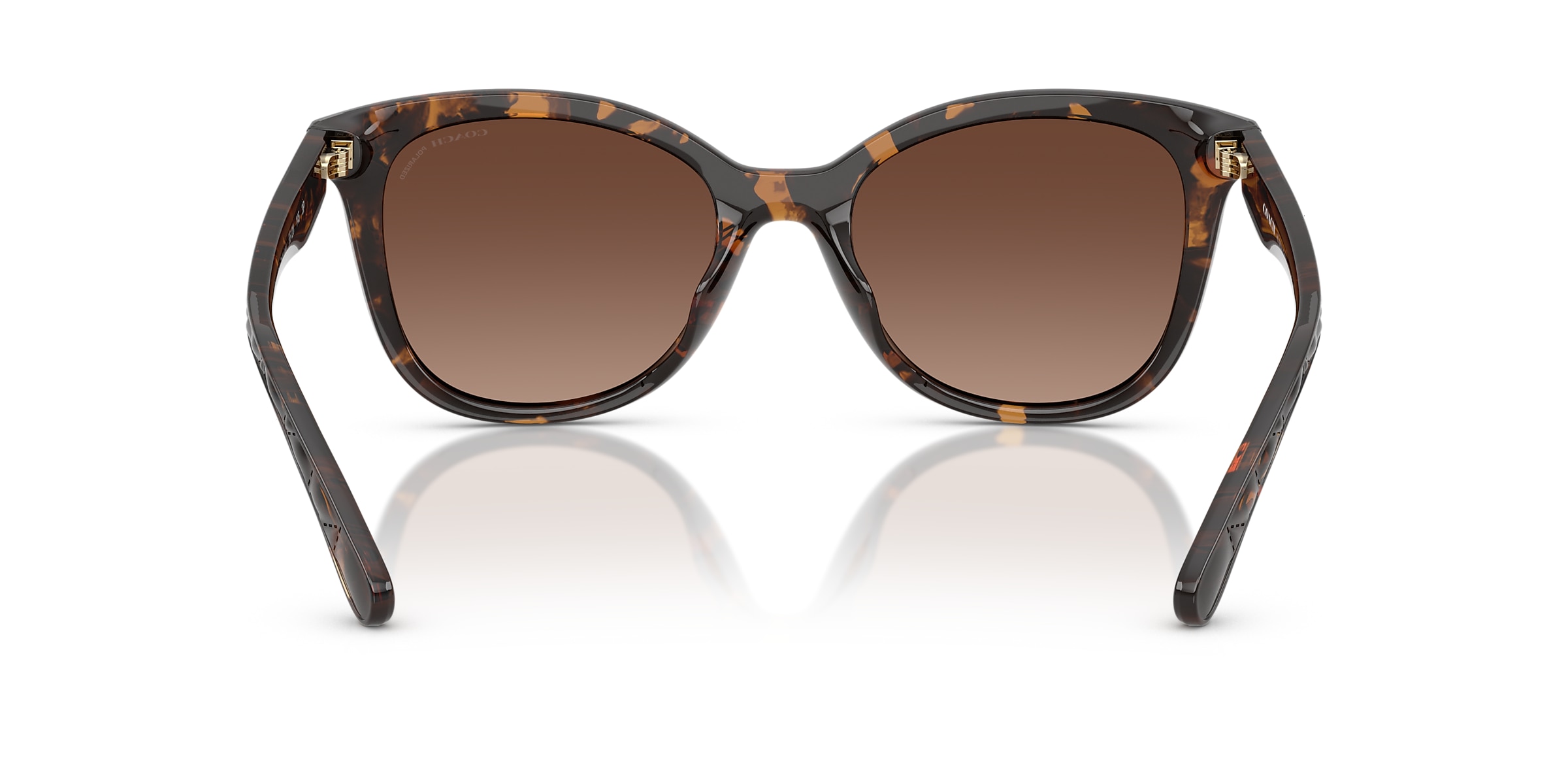 Coach Sunglasses HC8419U CAD25