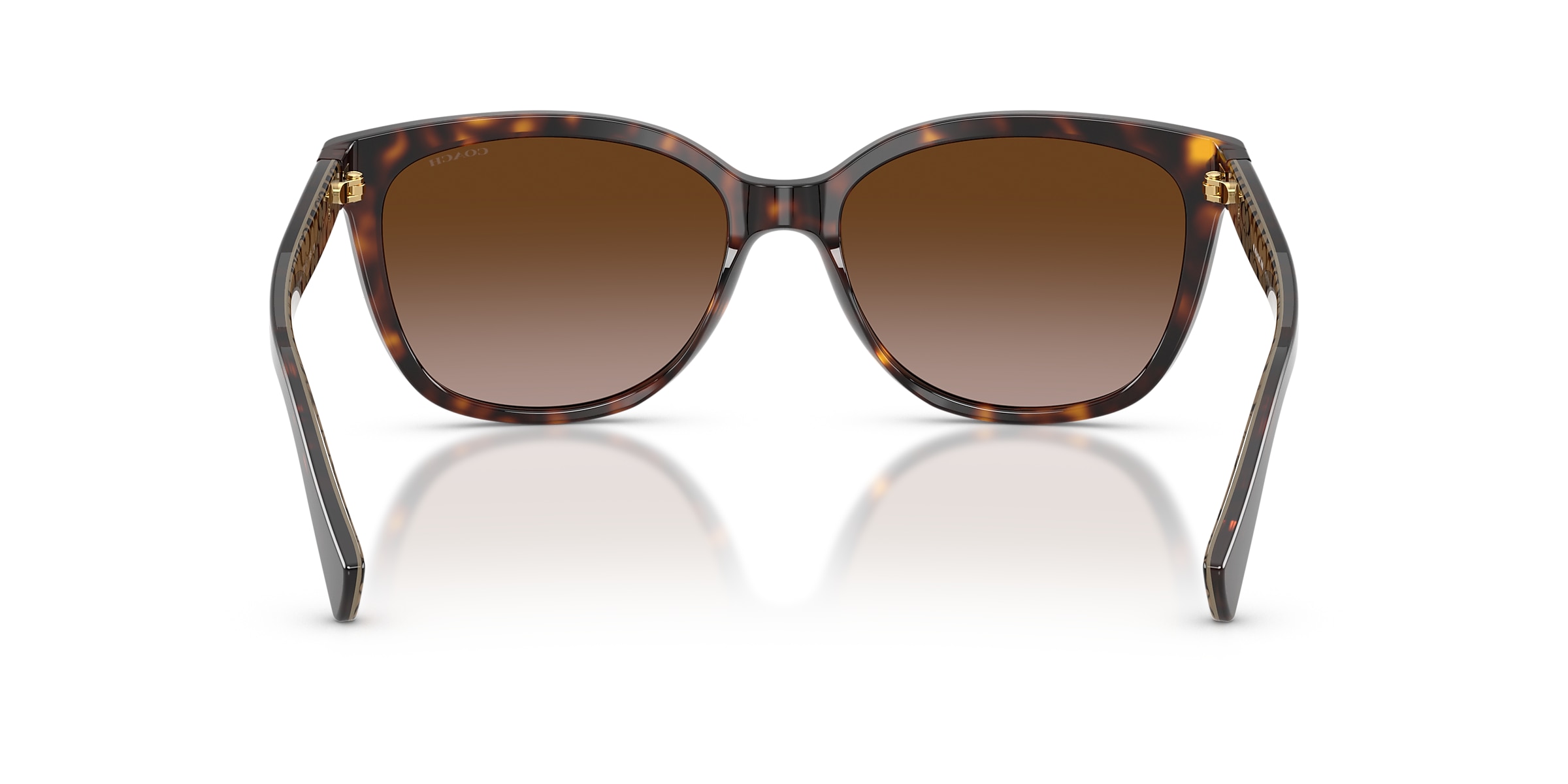 Coach Sunglasses HC8132 L109