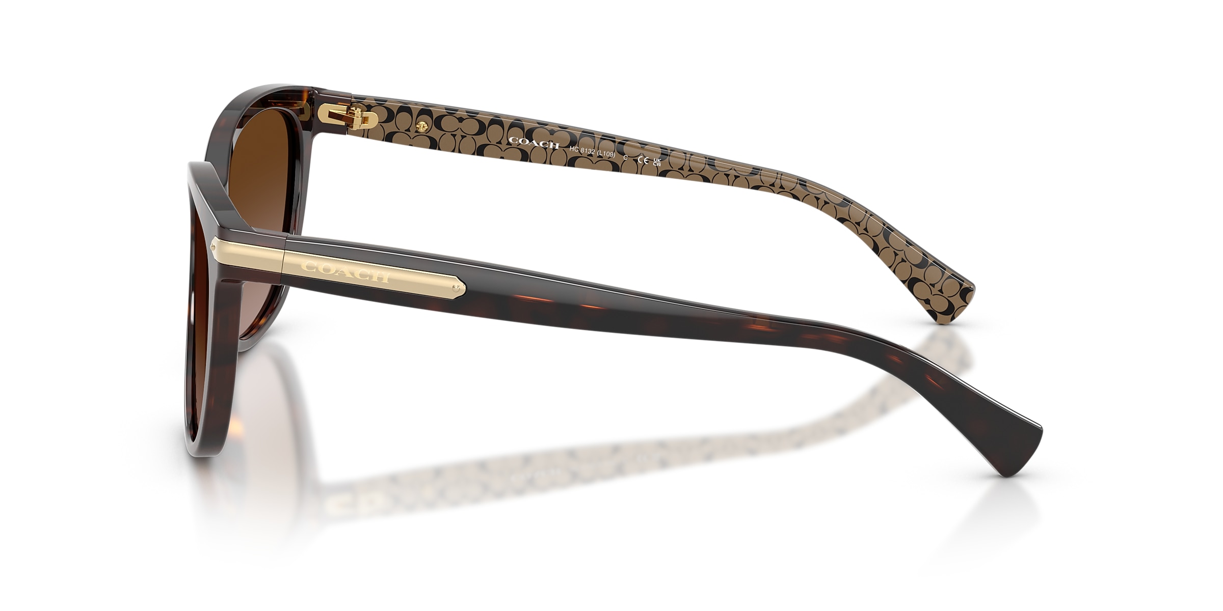 Coach Sunglasses HC8132 L109