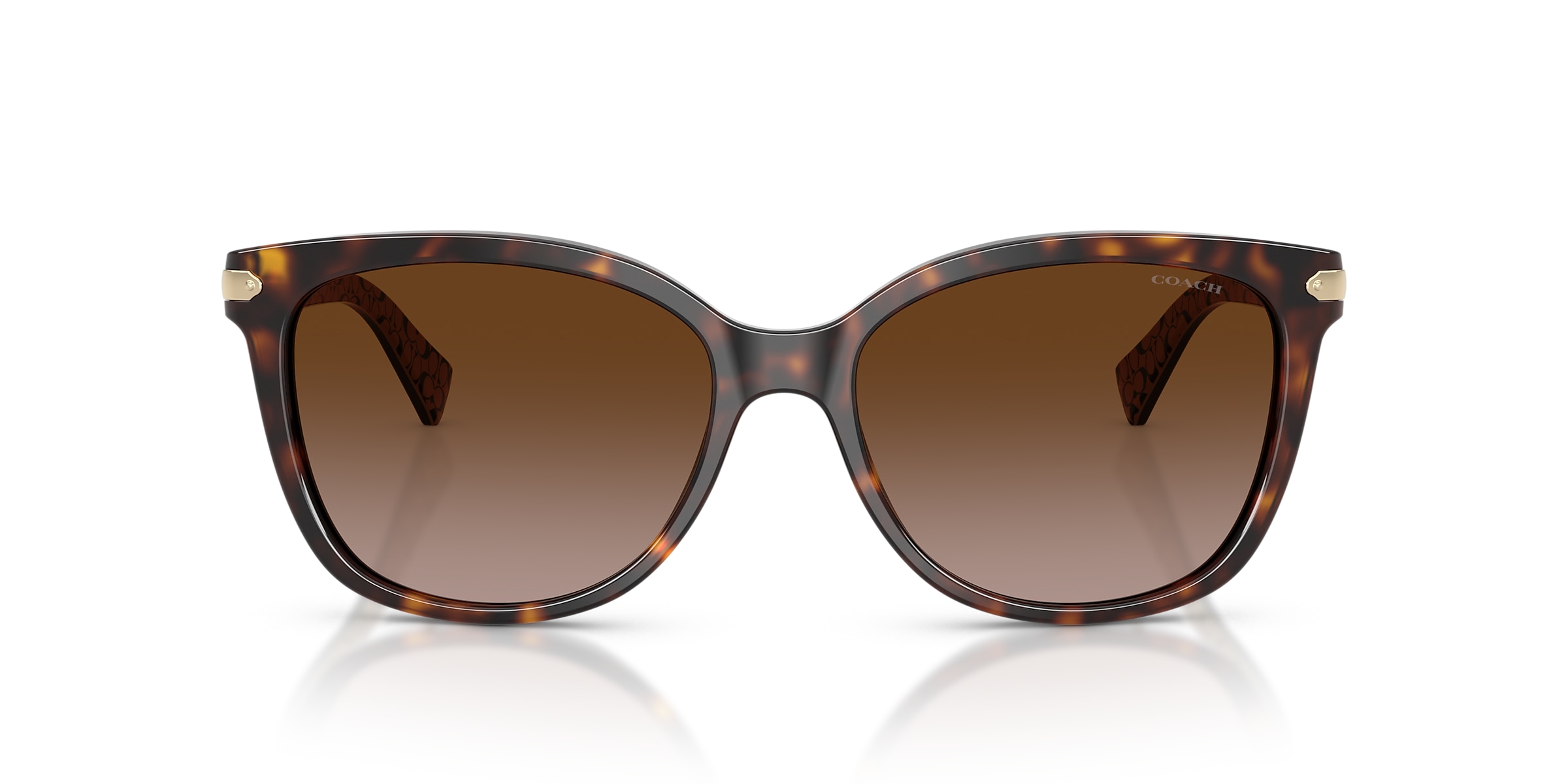 Coach Sunglasses HC8132 L109