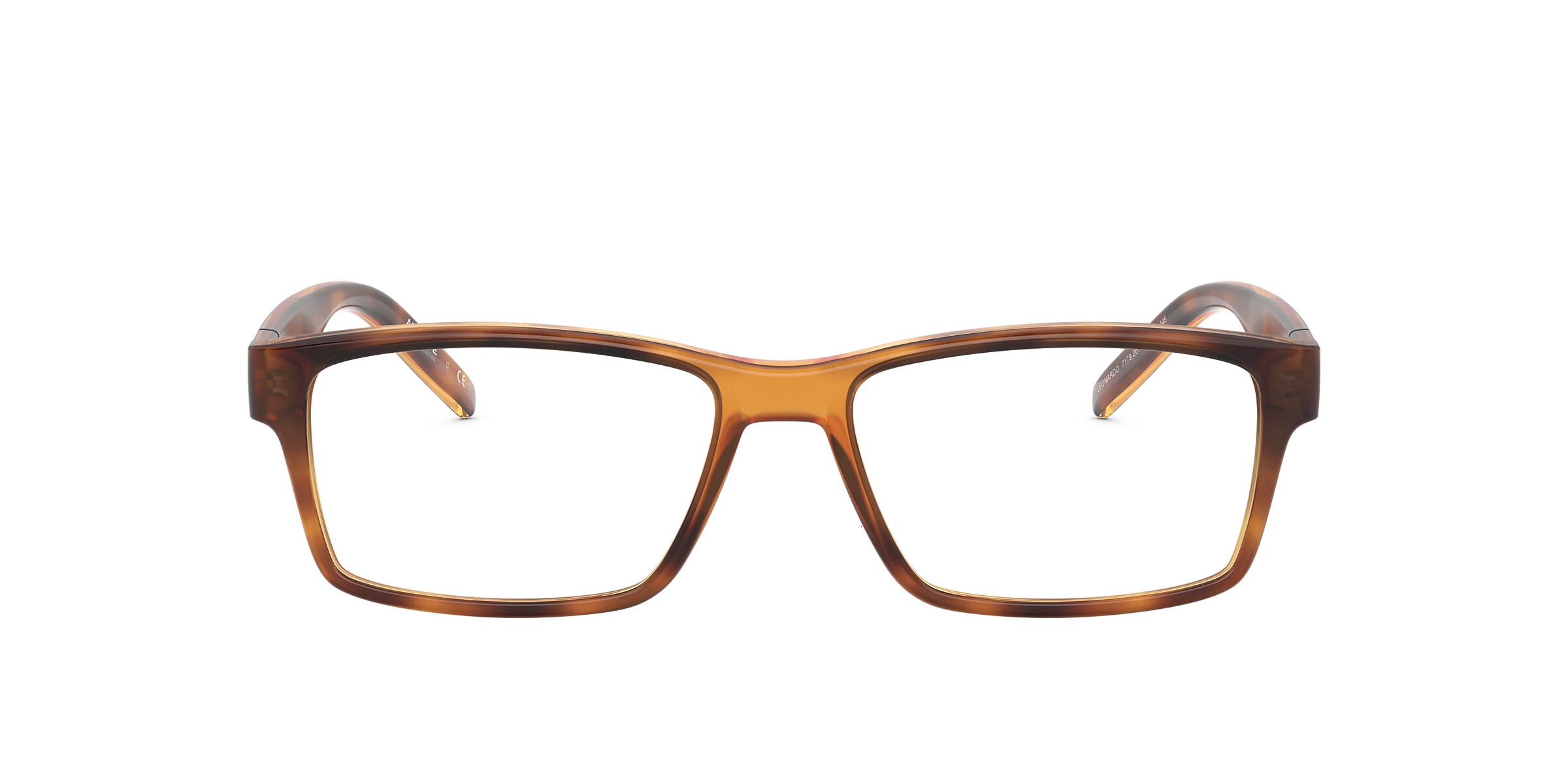 Arnette Glasses AN7179 LEONARDO