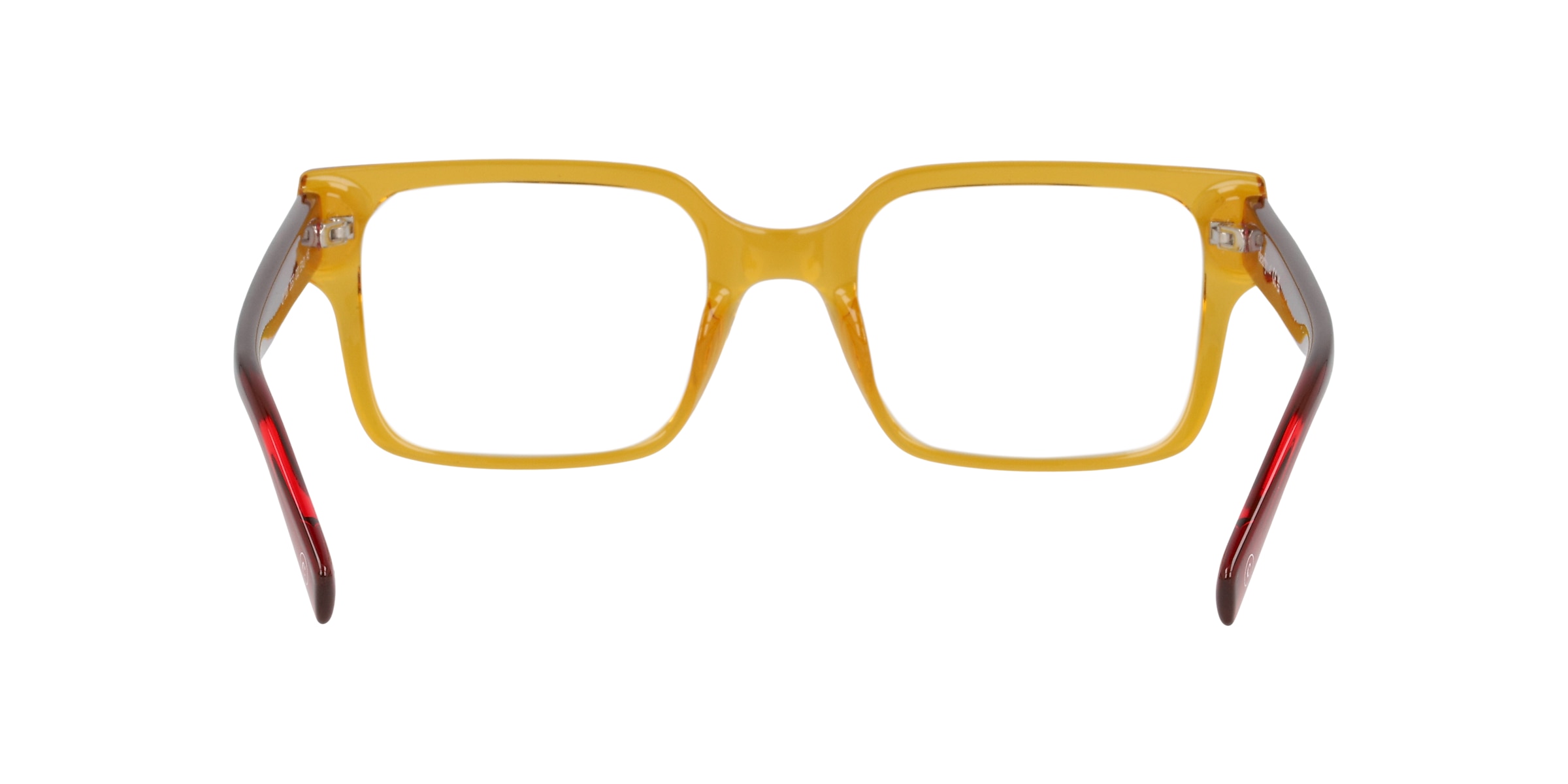 Clearly Glasses ZEST