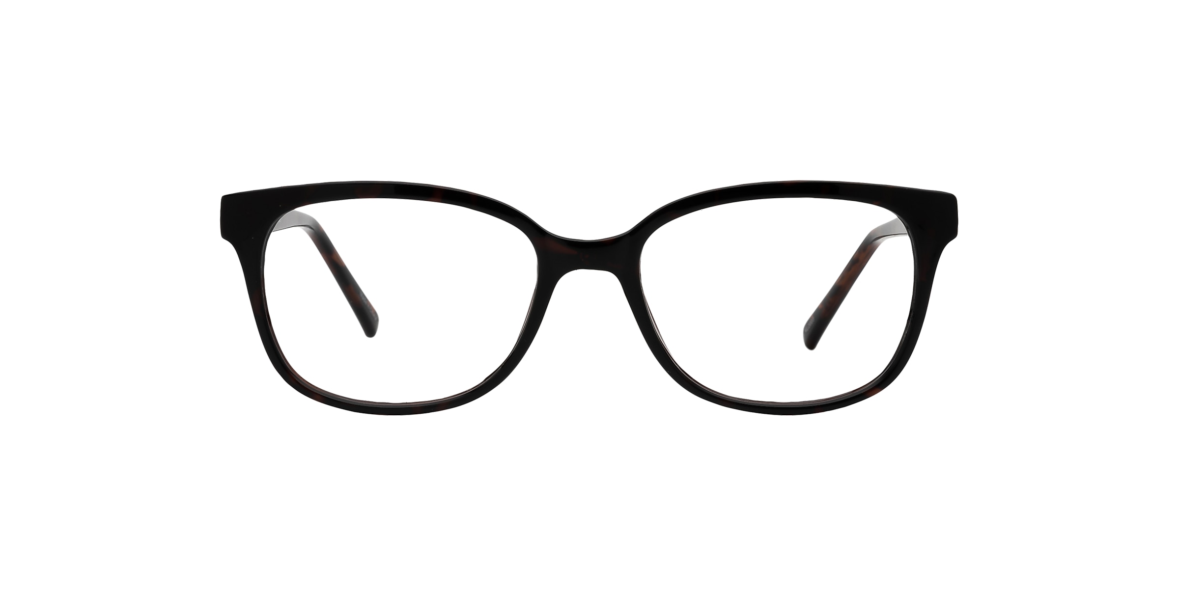 Clearly Glasses ROGGAN RIVER