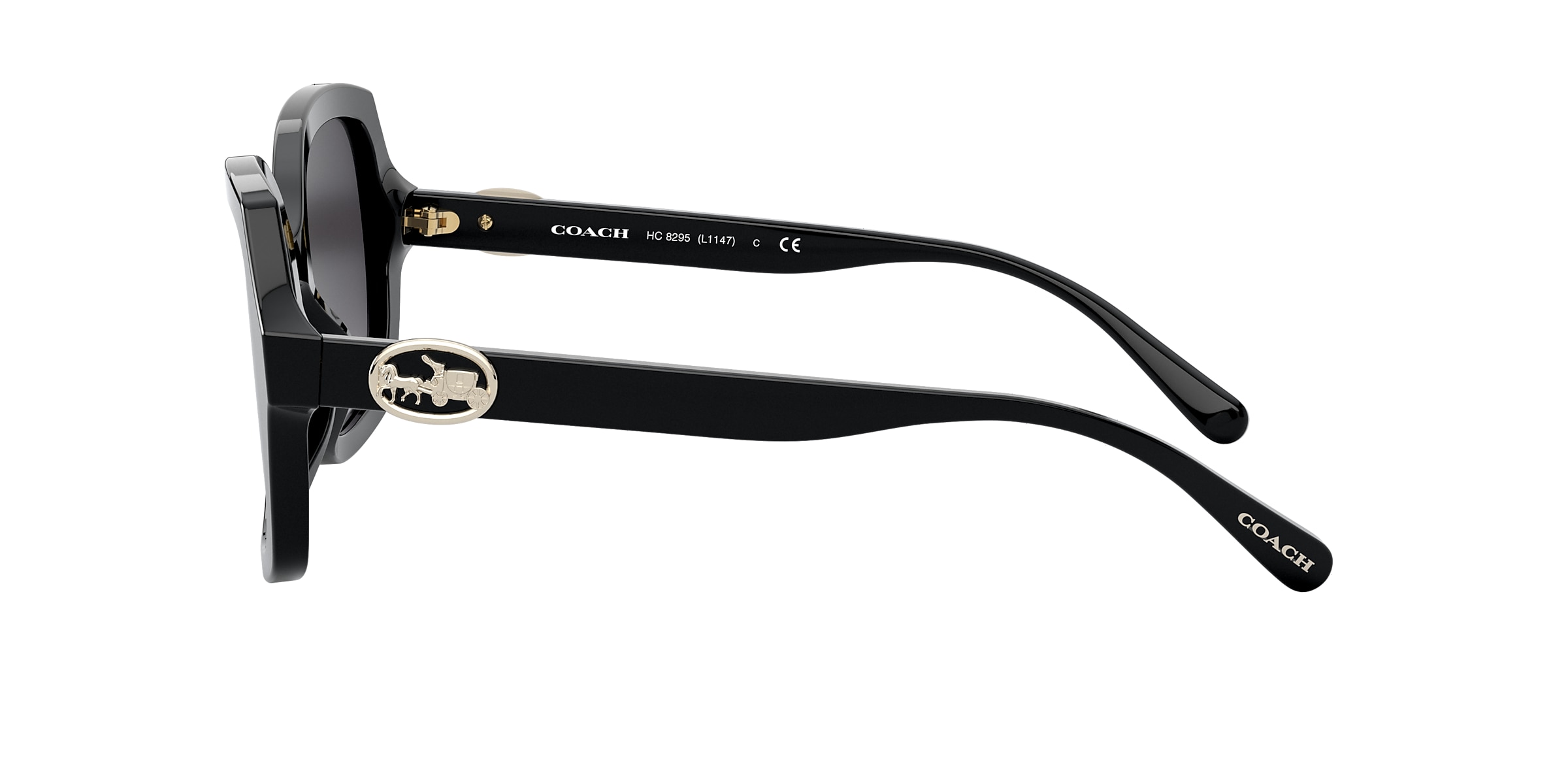 Coach Sunglasses HC8295 L1147