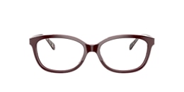 coach Glasses hc6173