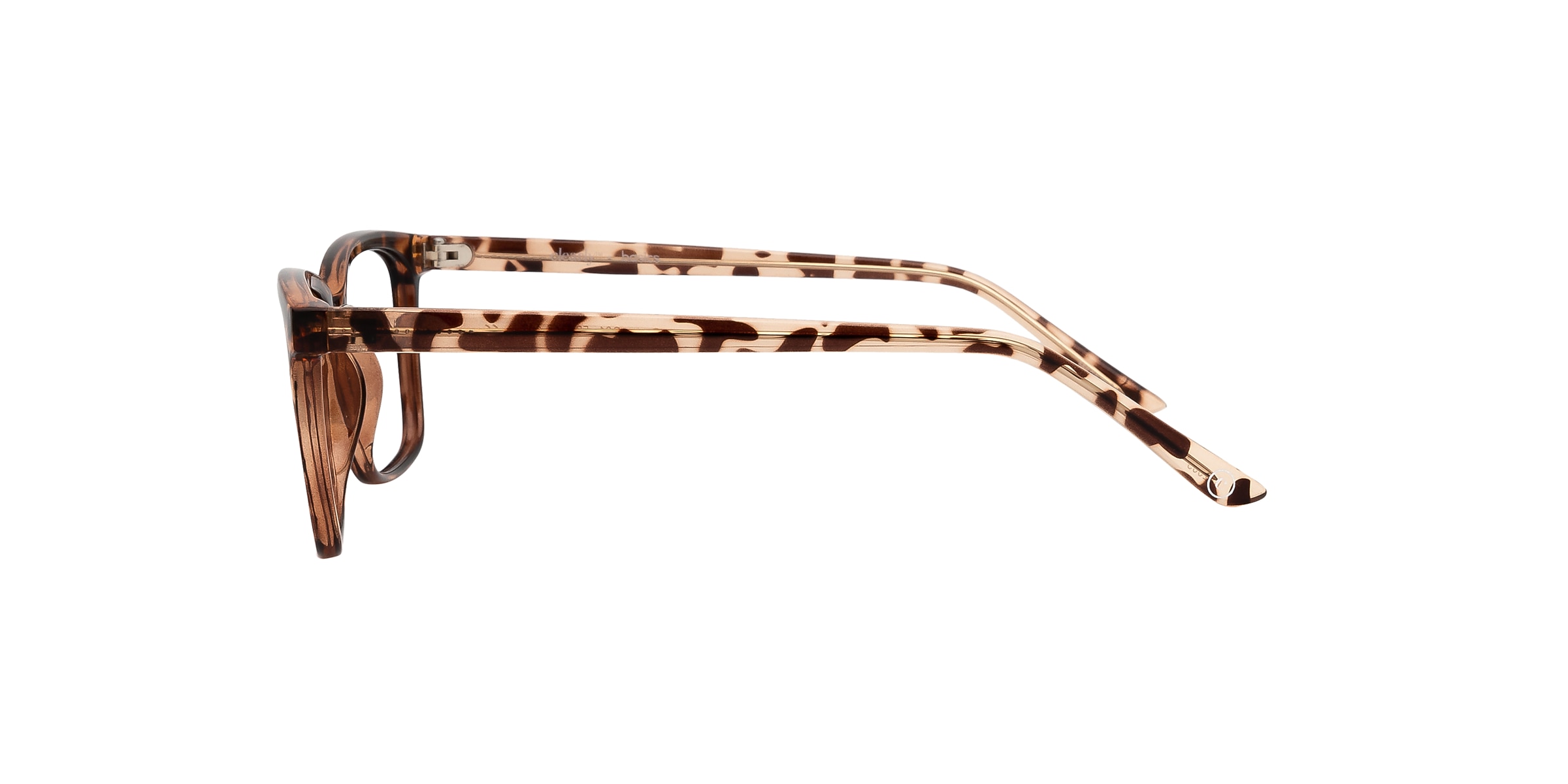 Clearly Glasses BURIN