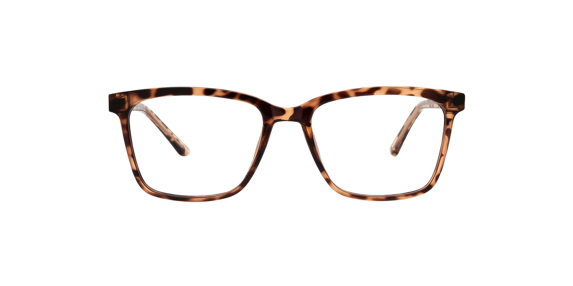 Clearly Glasses BURIN