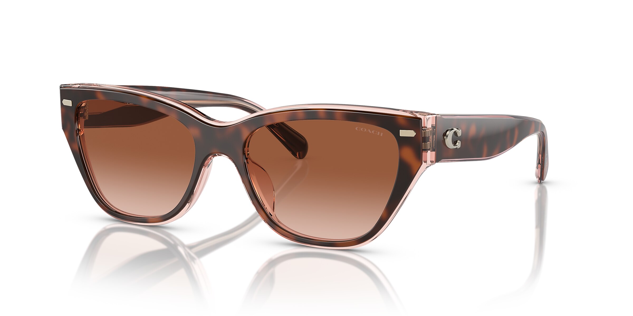 Coach Sunglasses HC8370U CH570