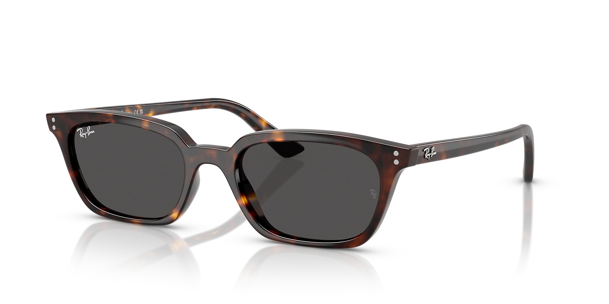 Ray-Ban Sunglasses RB4456 ZAYA BIO-BASED