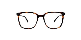 main and central Glasses ridgemark