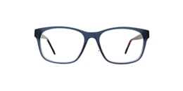 clearly Glasses turtle bay