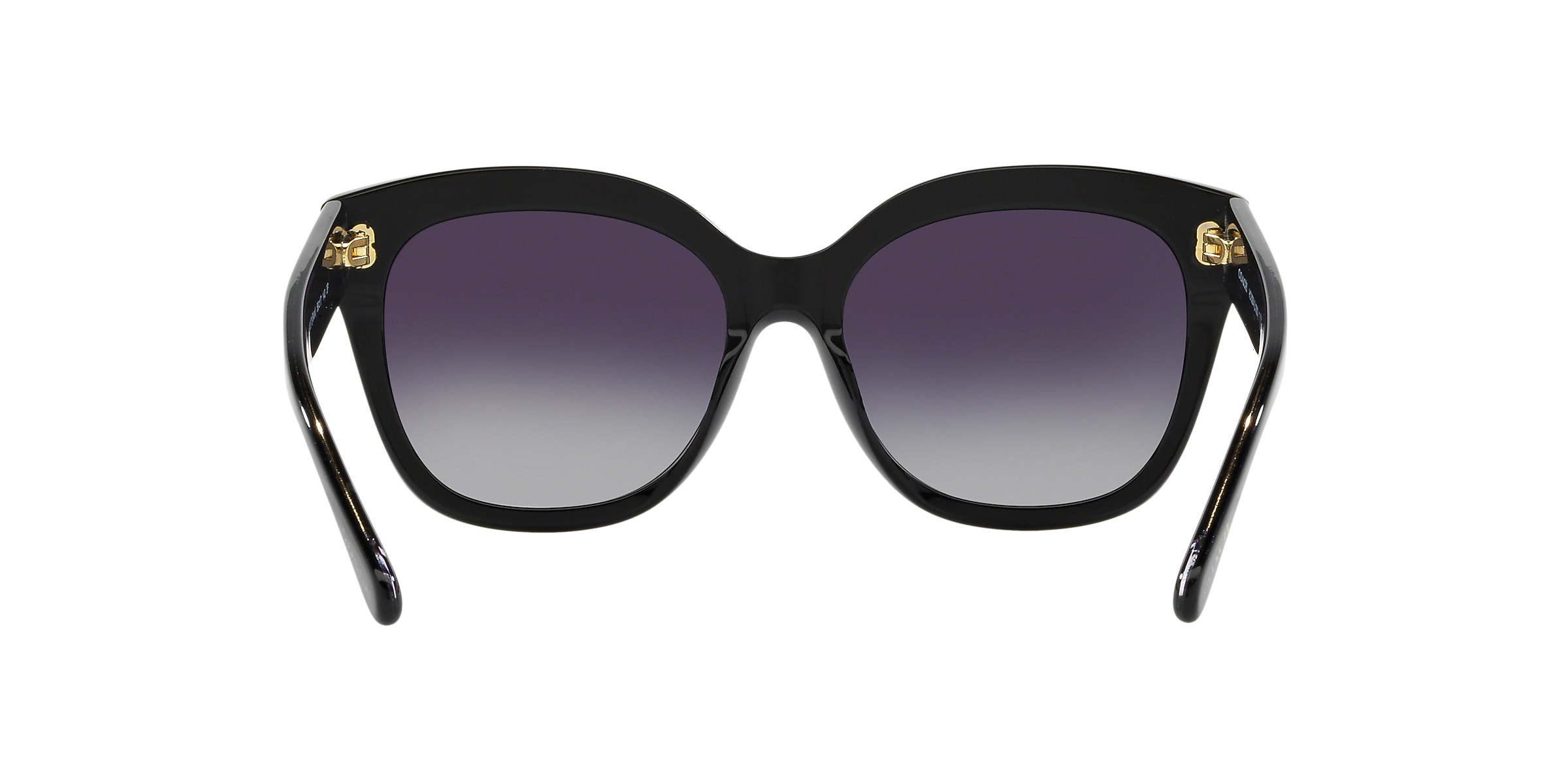 Coach Sunglasses HC8264 L1083