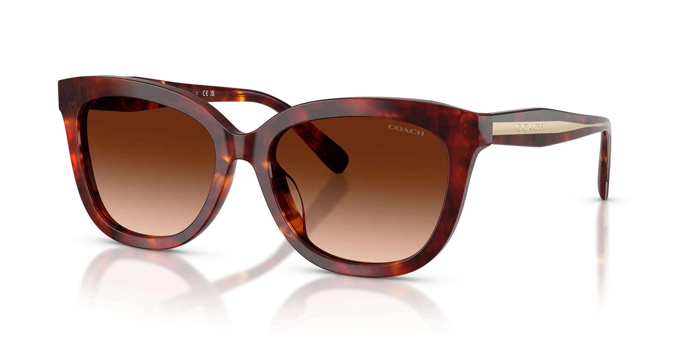 Coach Sunglasses HC8453U CDP53