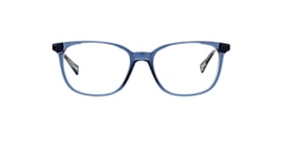 clearly Glasses ardee