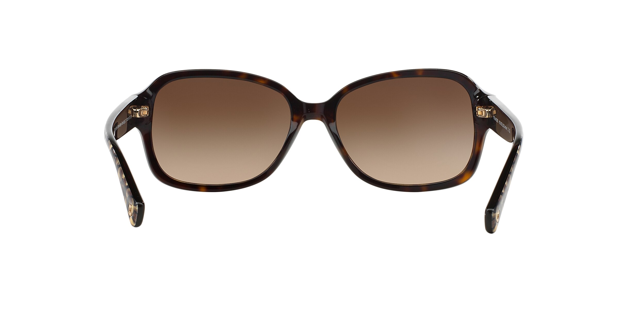 Coach Sunglasses HC8105 L082 AMBER