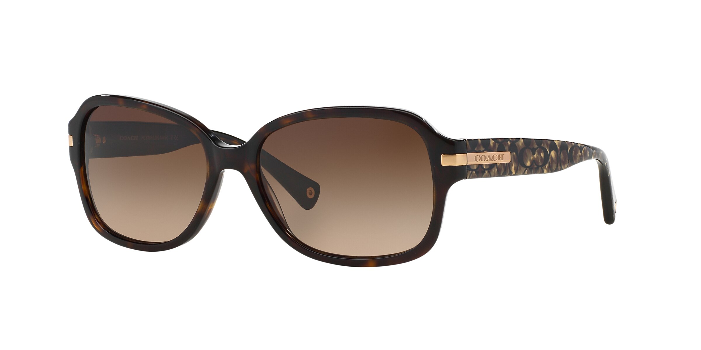 Coach Sunglasses HC8105 L082 AMBER