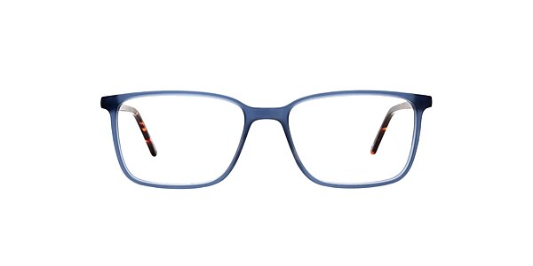 Clearly Glasses MINTO
