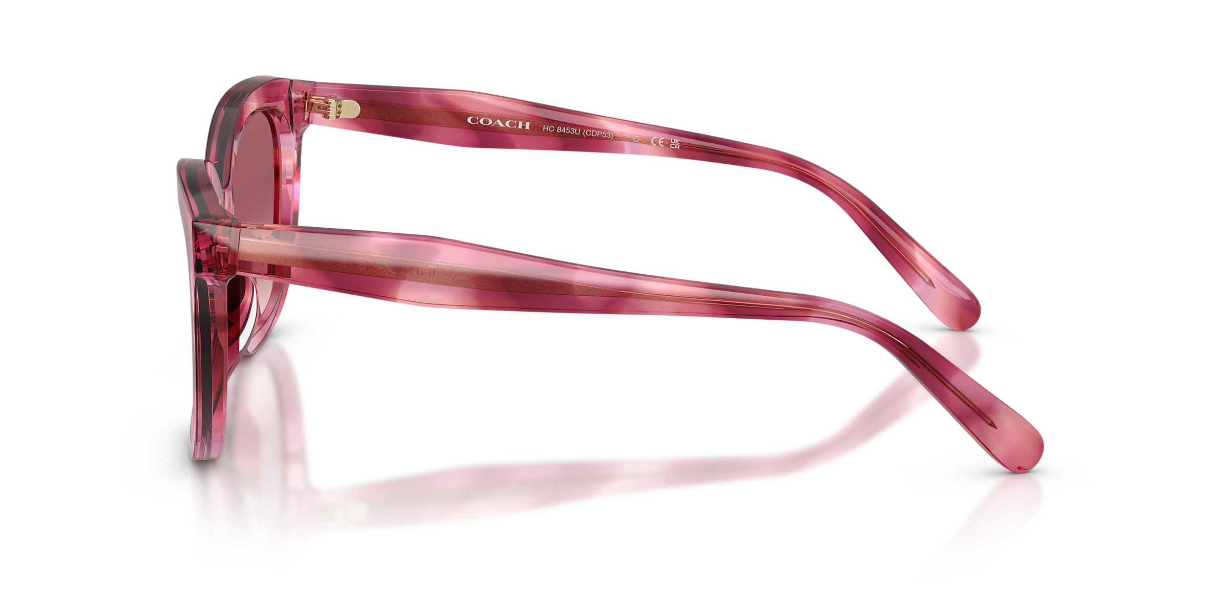 Coach Sunglasses HC8453U CDP53