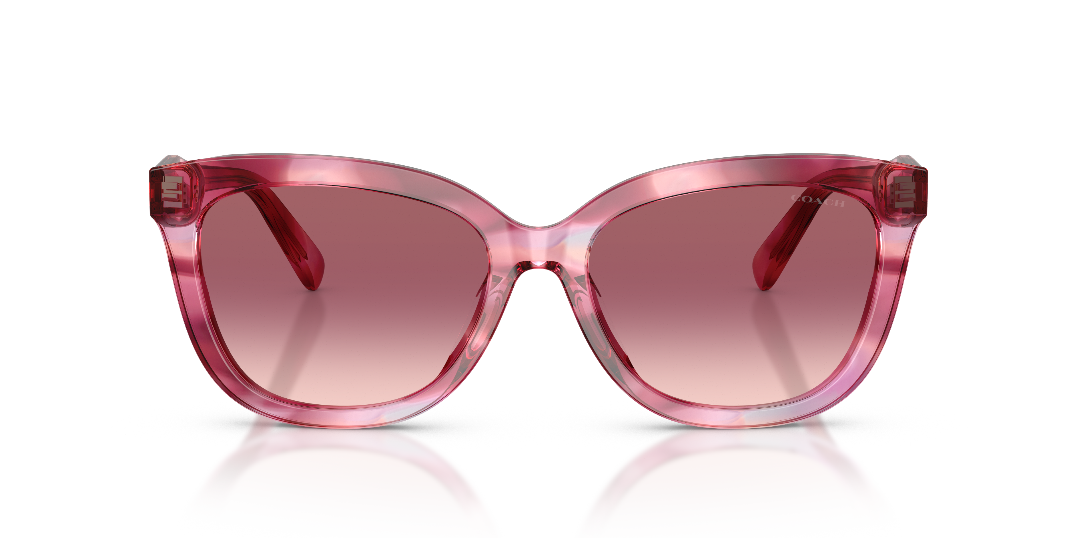 Coach Sunglasses HC8453U CDP53