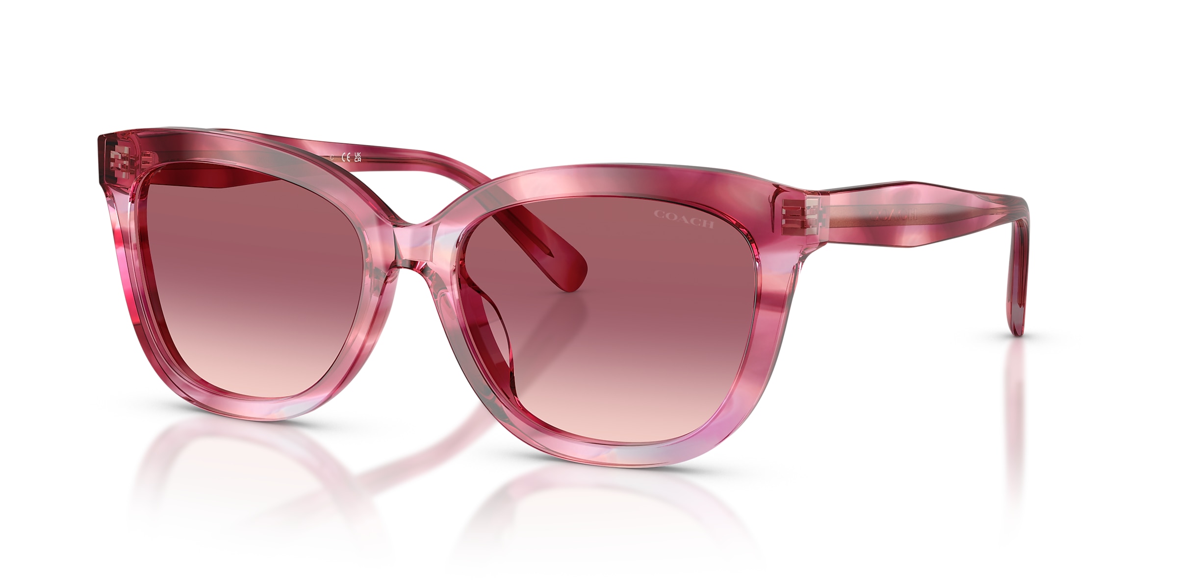 Coach Sunglasses HC8453U CDP53