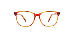Clearly Glasses FORTUNE