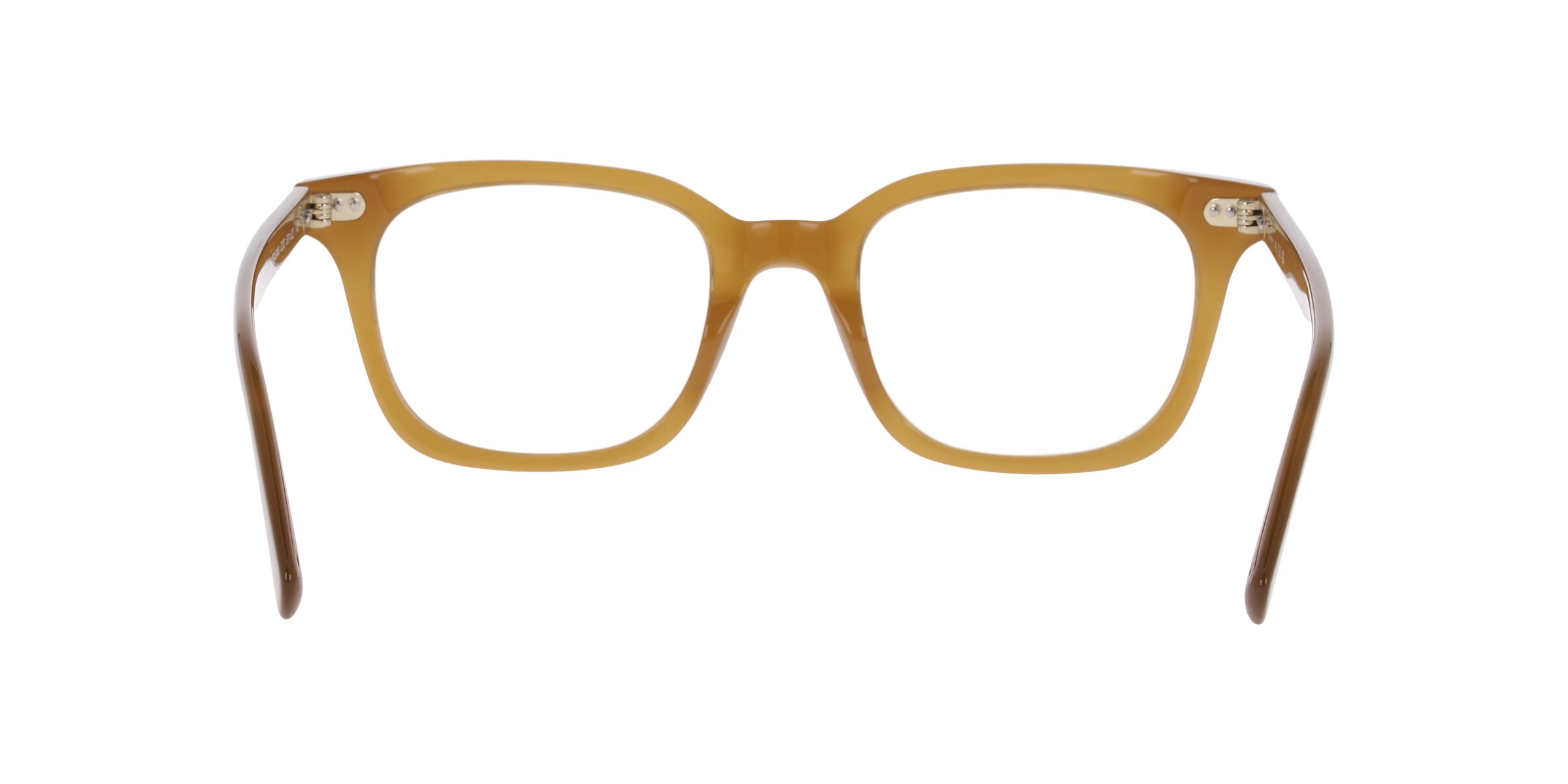 Clearly Glasses TEAGAN