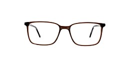 clearly Glasses minto