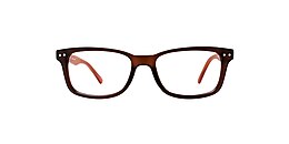 clearly Glasses tavani