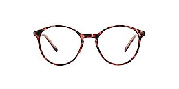 clearly Glasses mt pearl