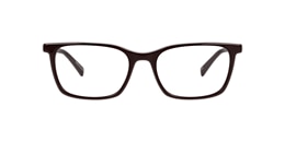 clearly Glasses abies alba