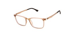 Clearly Sunglasses VEGA