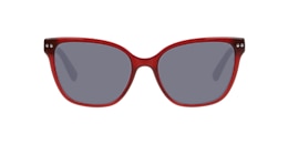 clearly Sunglasses talia