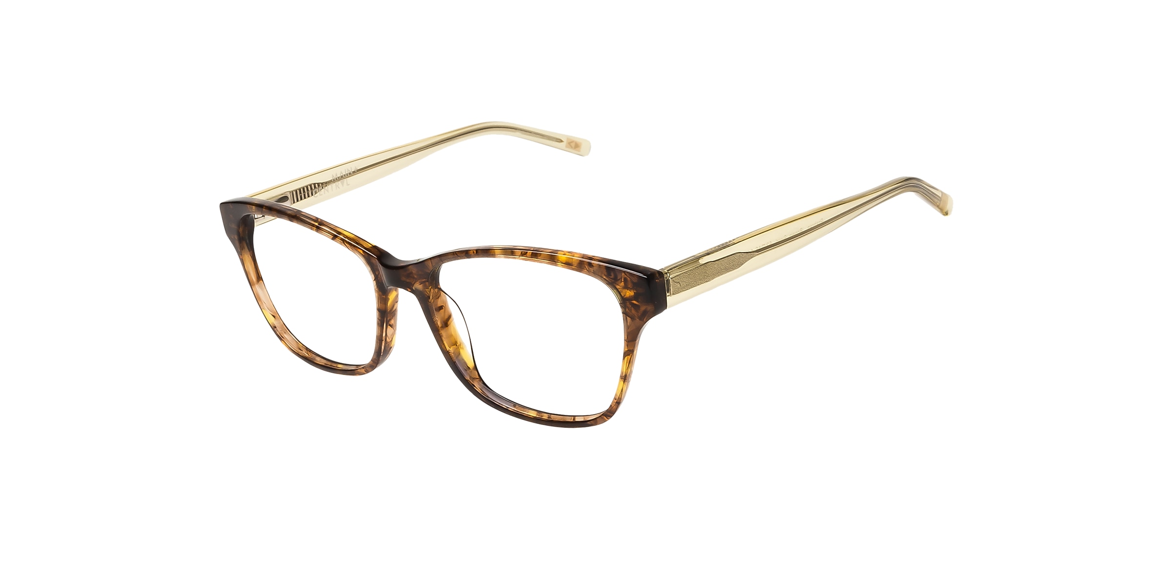 Clearly Glasses PRAHRAN