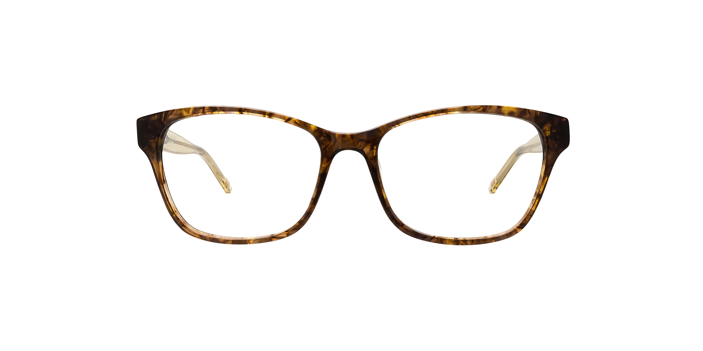 Clearly Glasses PRAHRAN