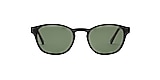 Clearly Sunglasses SUNTROPICAL