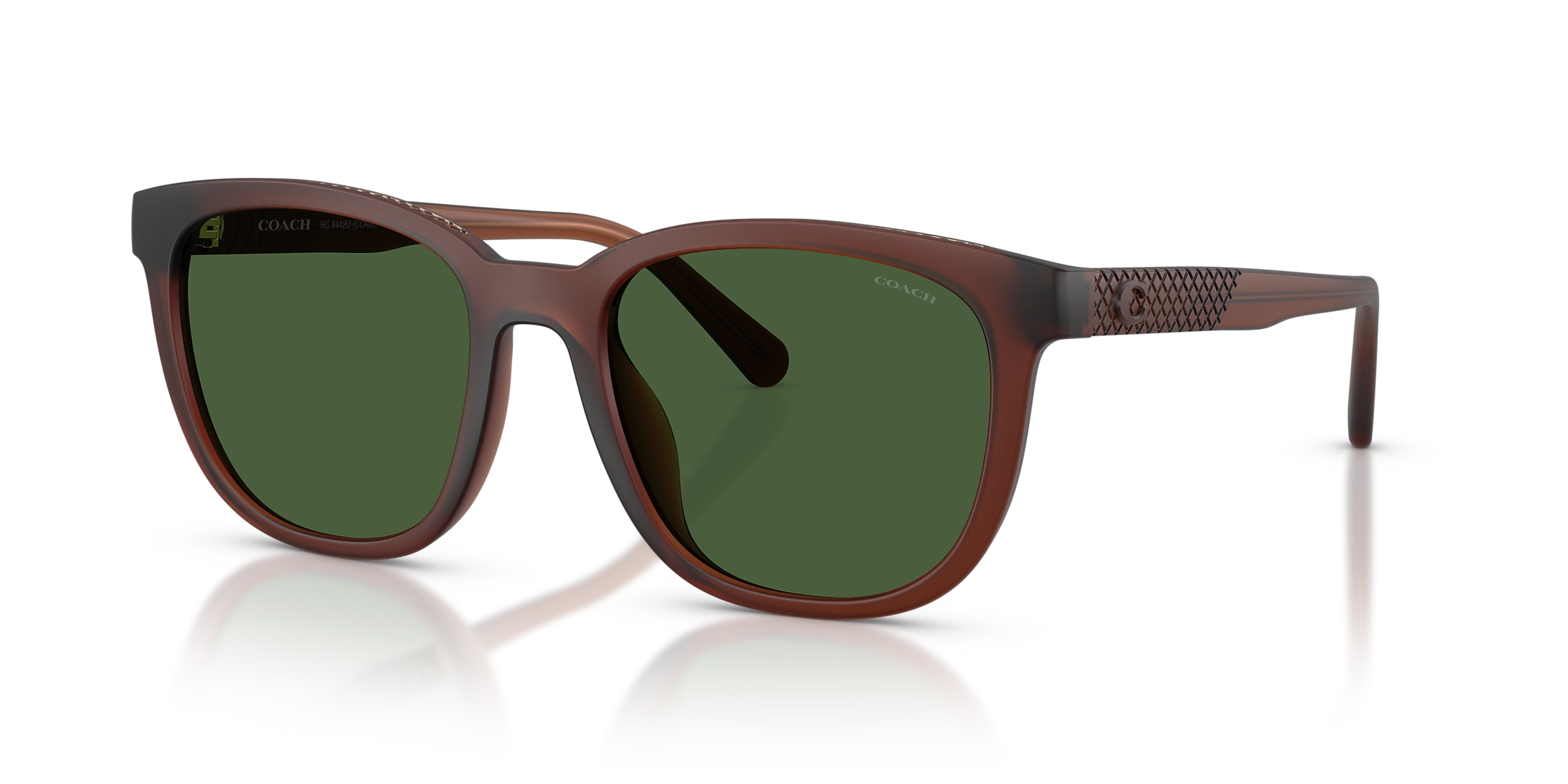 Coach Sunglasses HC8442U CCA00