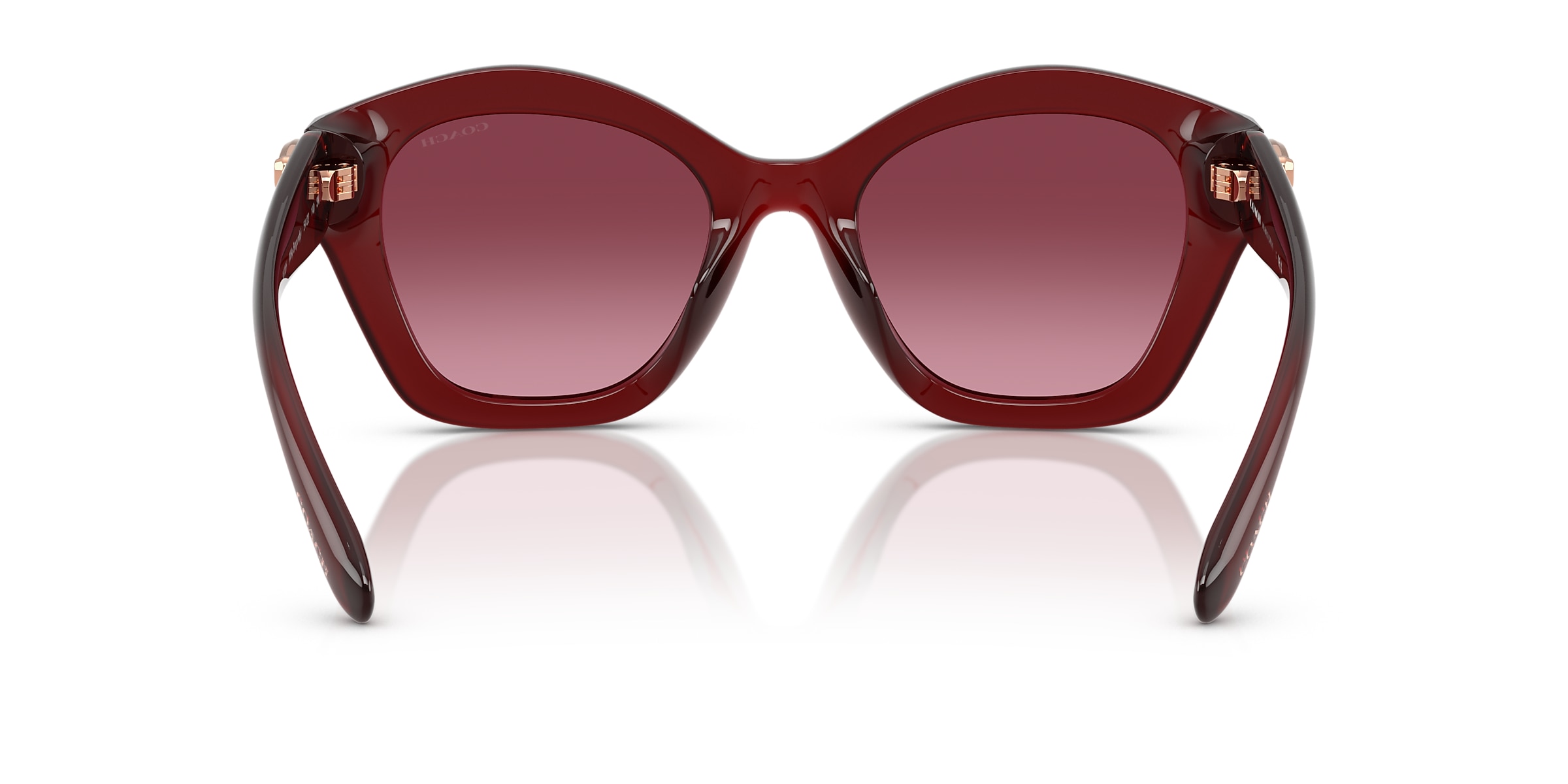 Coach Sunglasses HC8421U CAD31