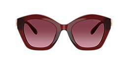 coach Sunglasses hc8421u cad31