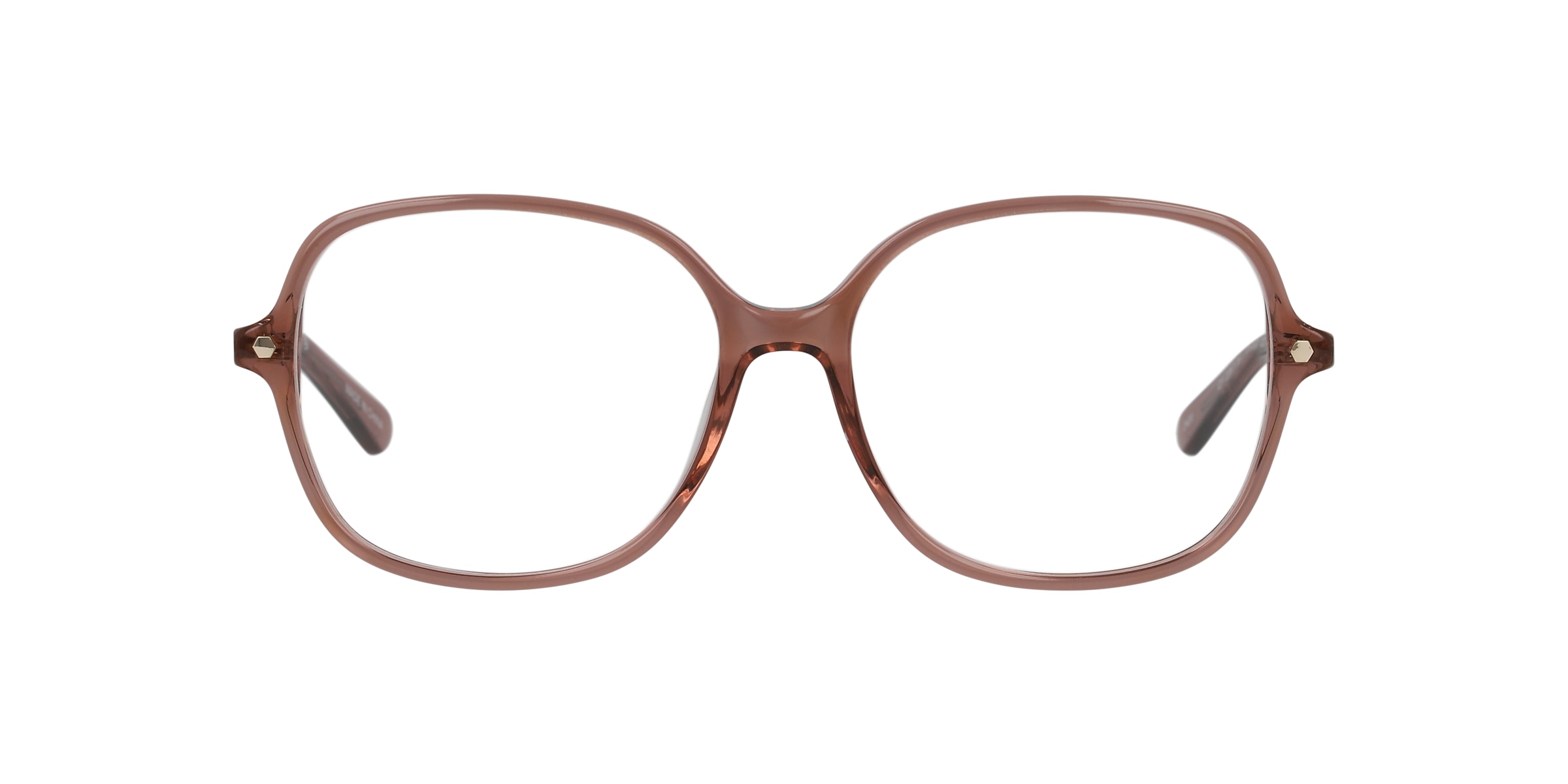 Clearly Glasses ELEPHANT