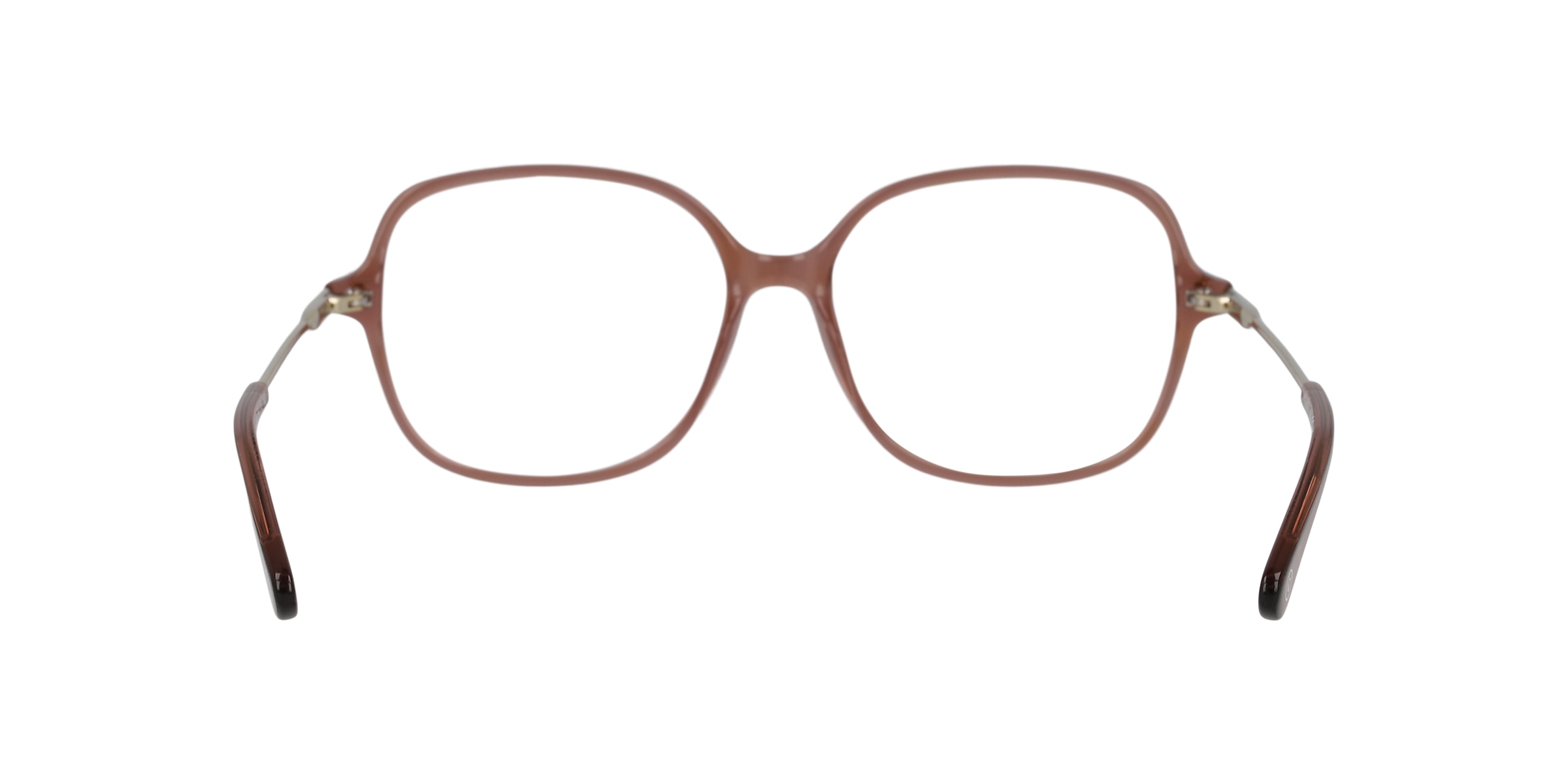 Clearly Glasses ELEPHANT