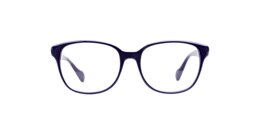 kam dhillon Glasses eva