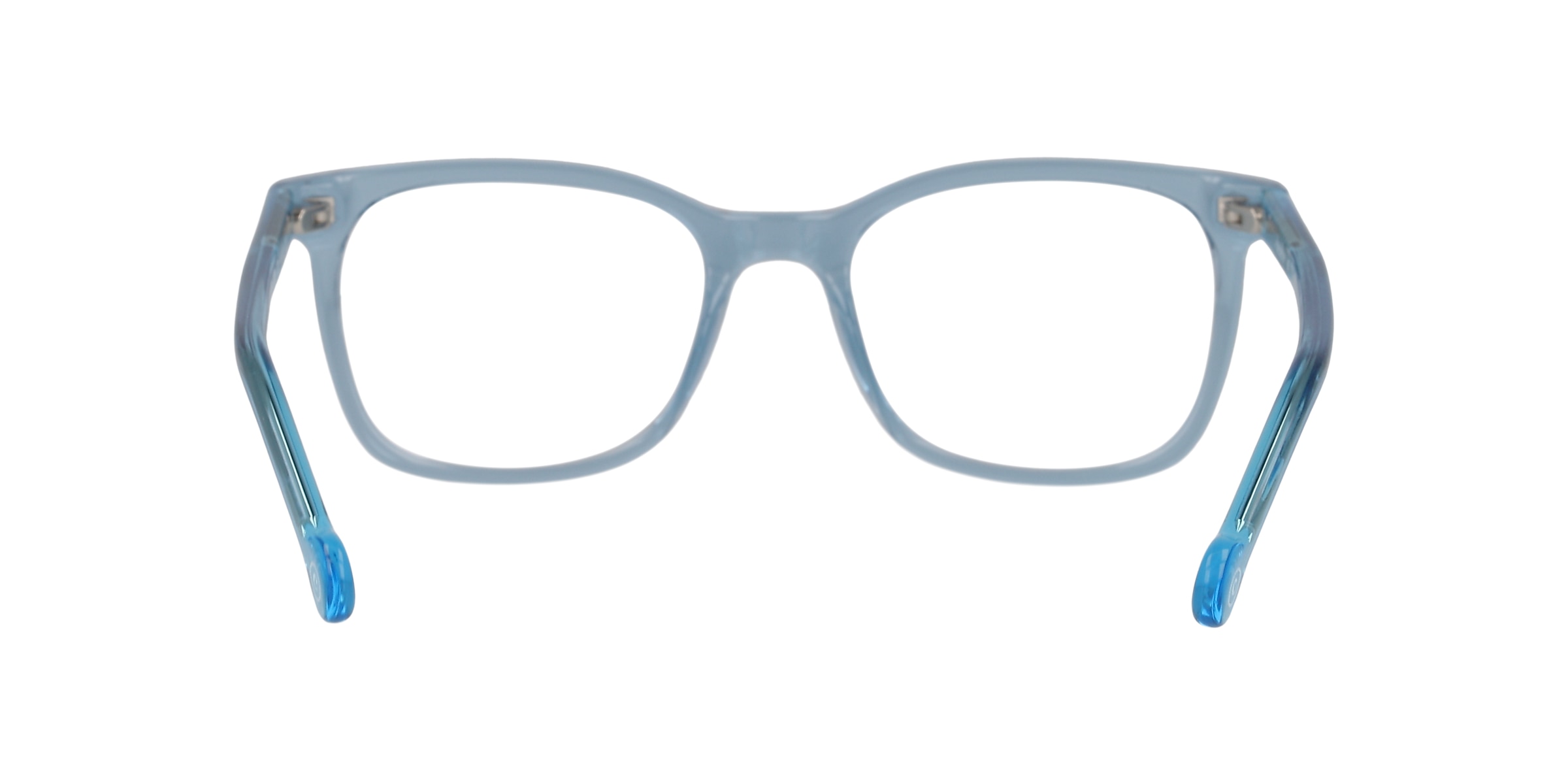 Clearly Glasses LION