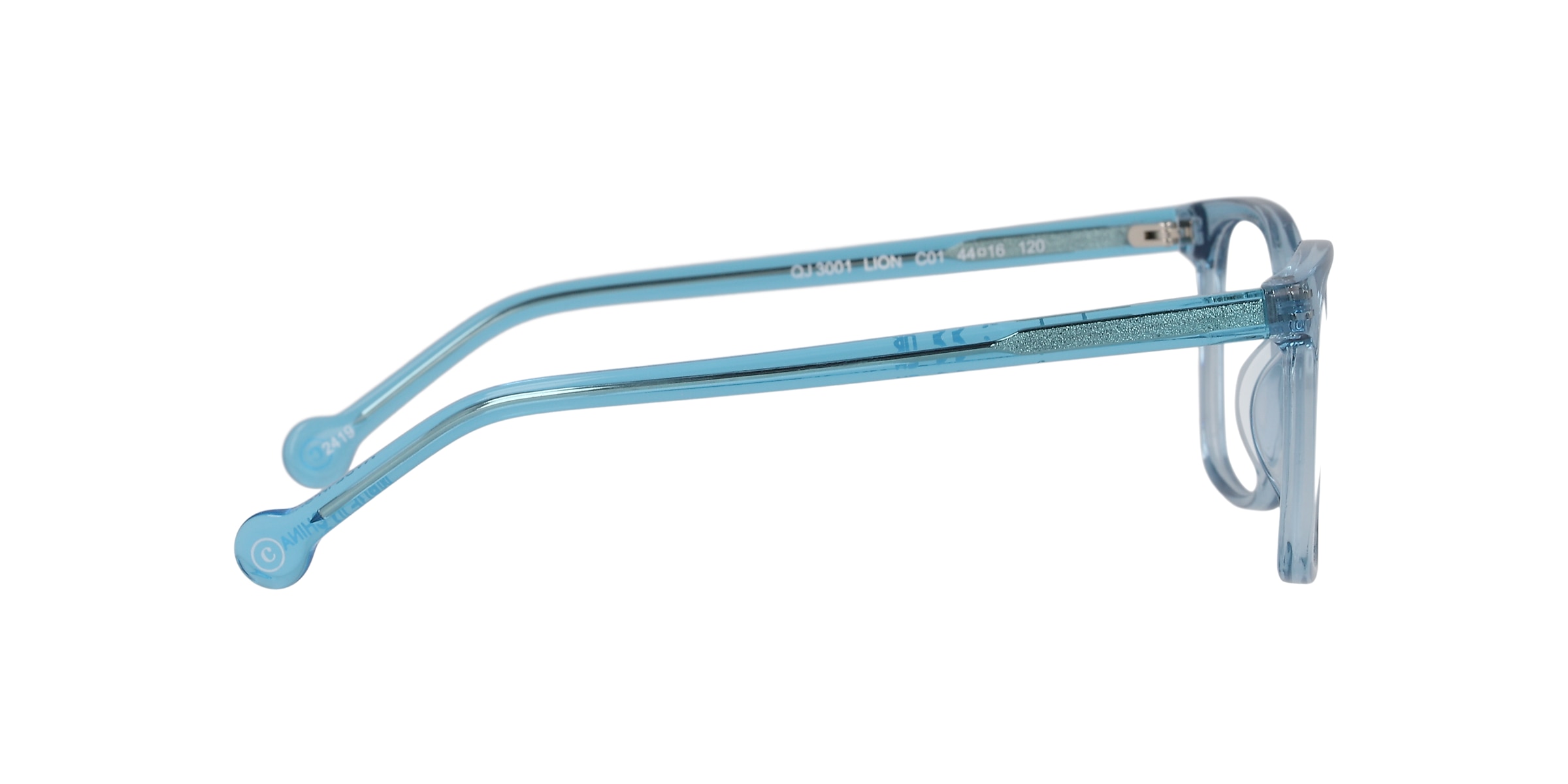 Clearly Glasses LION