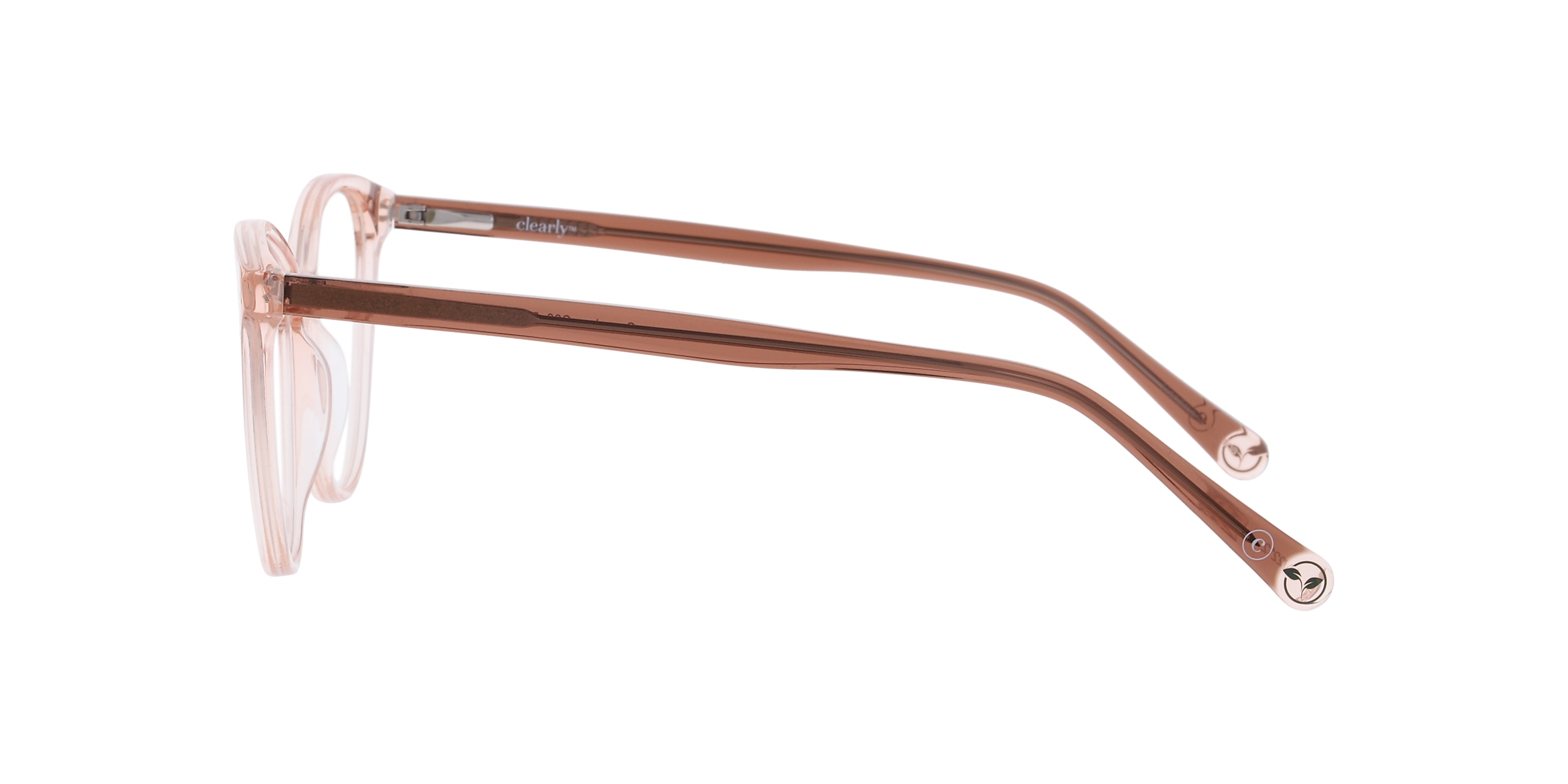 Clearly Glasses CAMPHOR