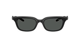 diesel Sunglasses dl3013u