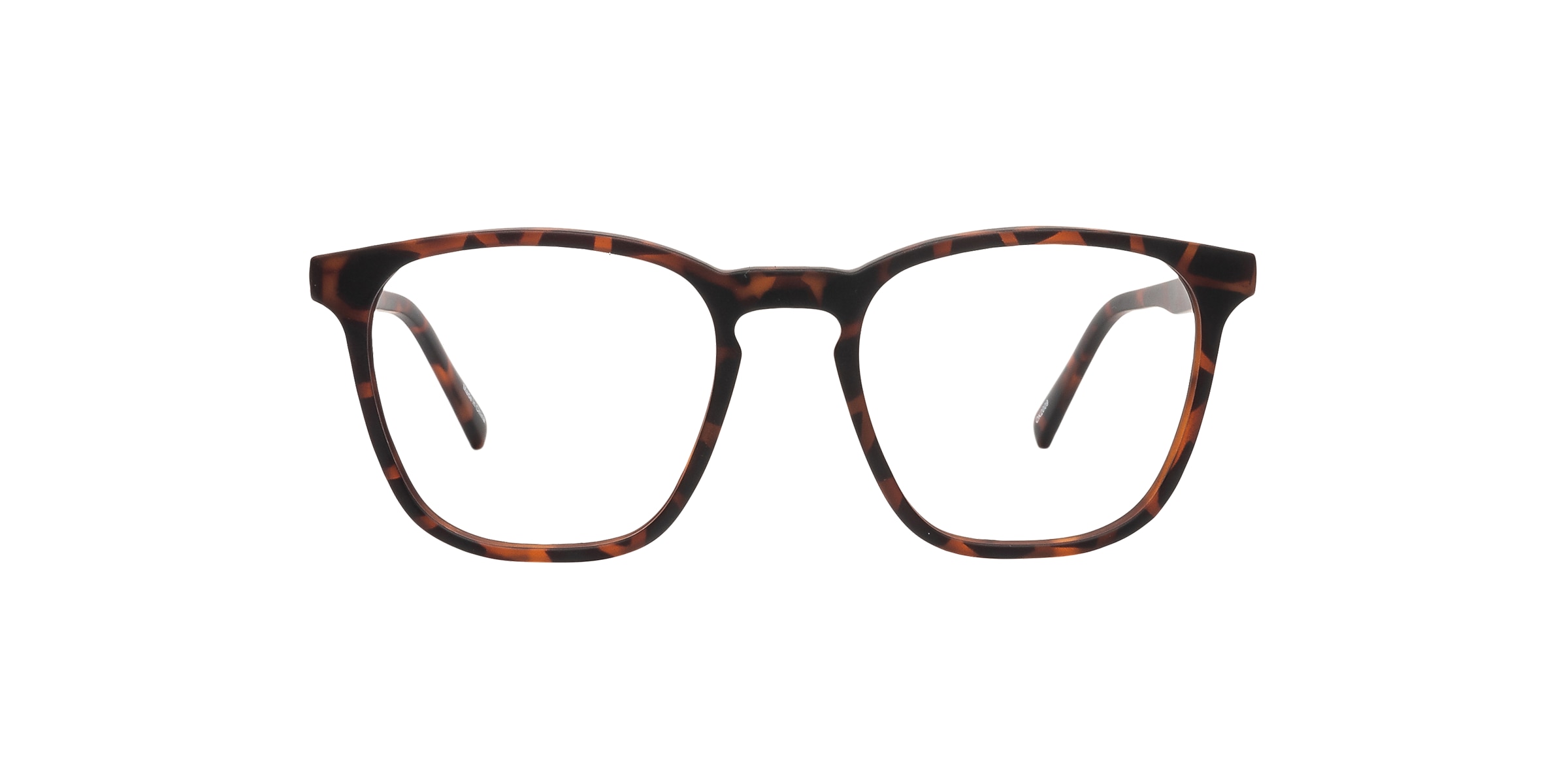 Clearly Glasses PITTA