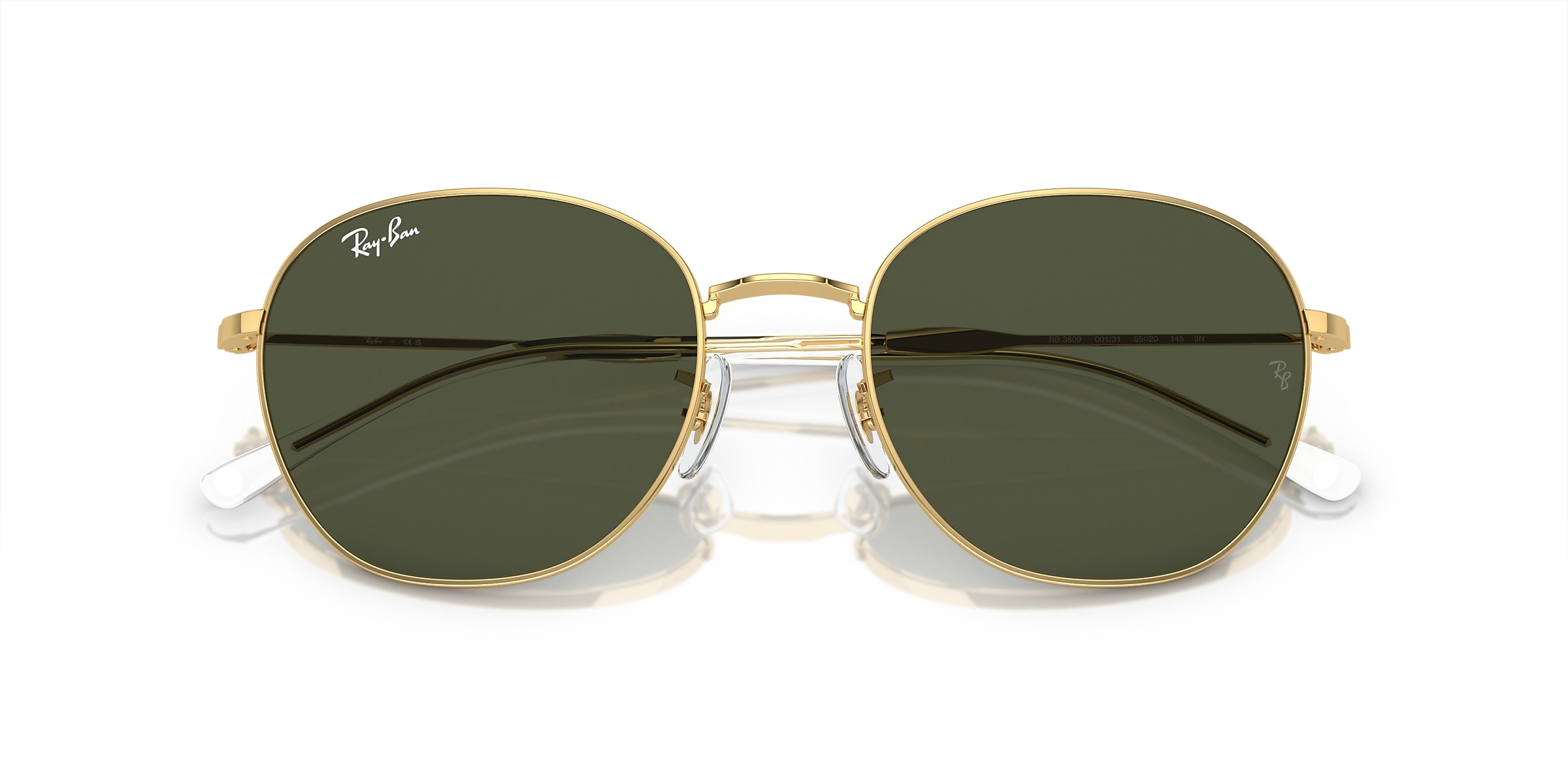Ray-Ban Sunglasses RB3809