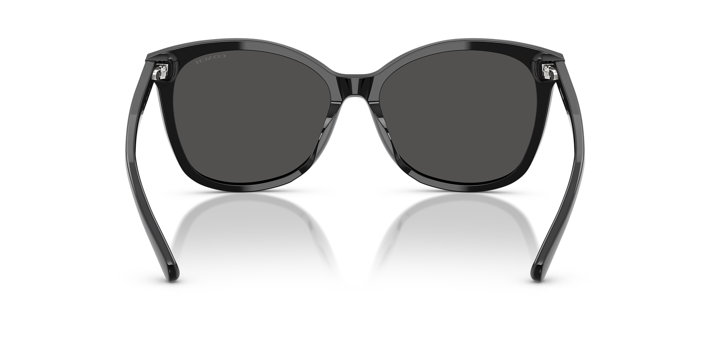 Coach Sunglasses HC8271U L1101