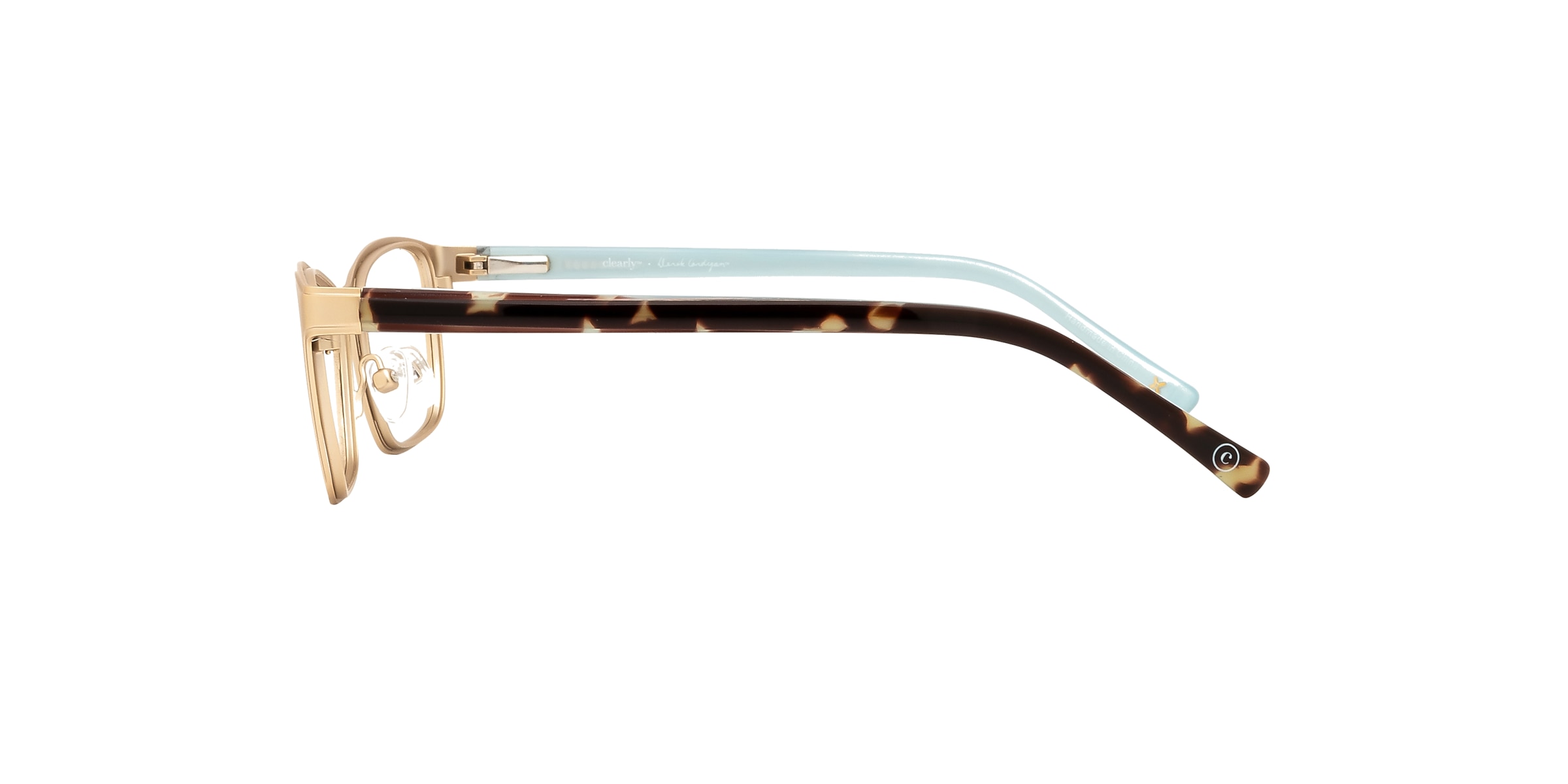 Clearly Glasses DELPHINUS