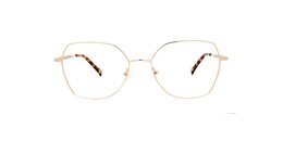 Clearly Glasses HUGHEDEN